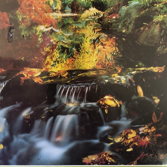 Vintage 83 CLEMENTONI Mosaico #31076 Puzzle 1000 Piece Stream Foilage SEALED NEW - Picture 14 of 16